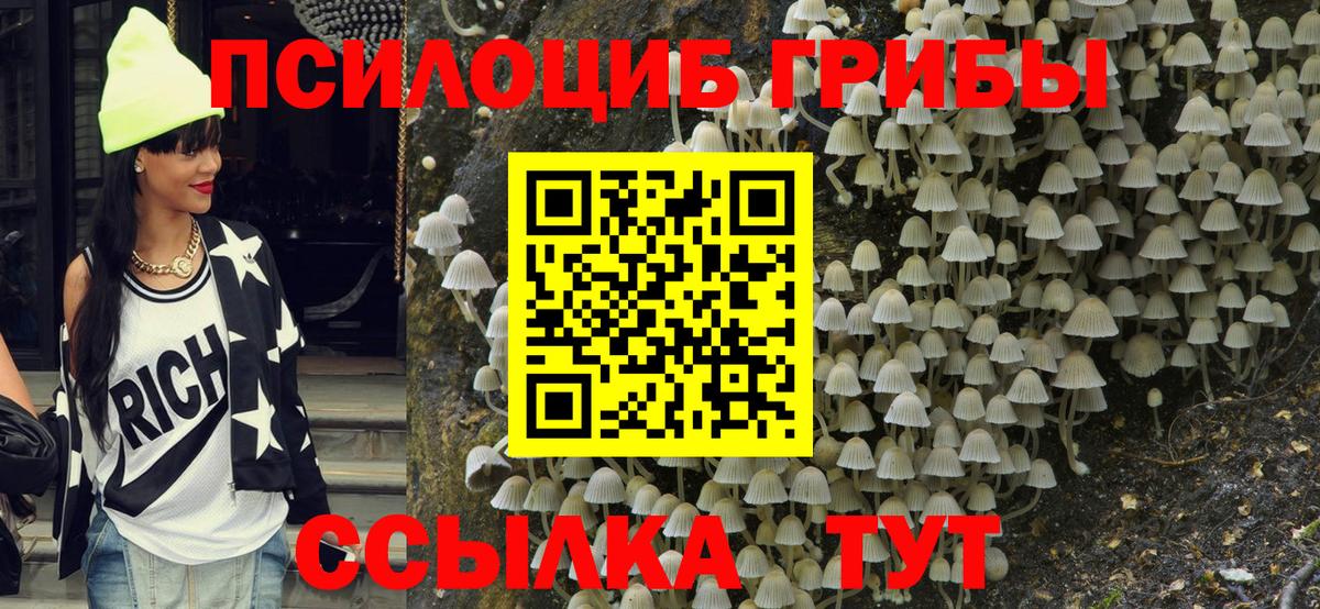 Галлюциногенные грибы MAGIC MUSHROOMS Вольск