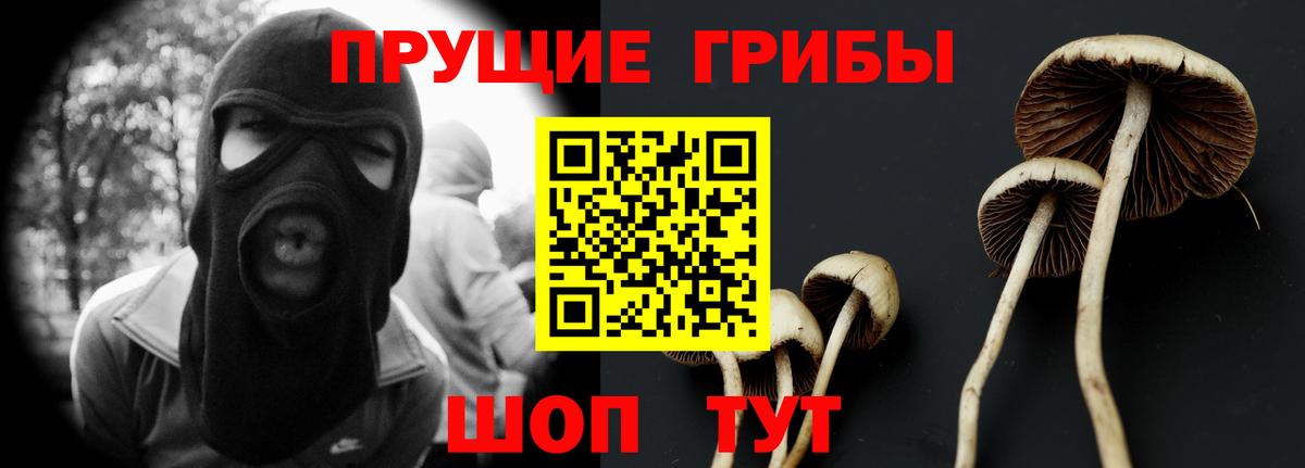 Вольск  Псилоцибиновые грибы ЛСД  Вход с VPN 